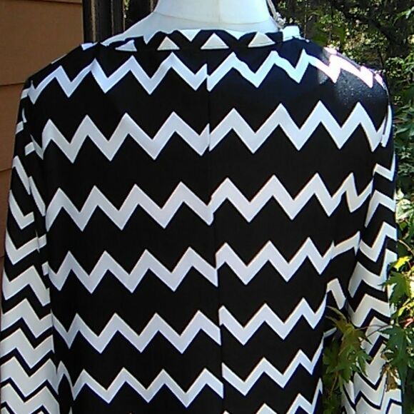 Emma & Michele Shift Dress - Picture 7 of 12